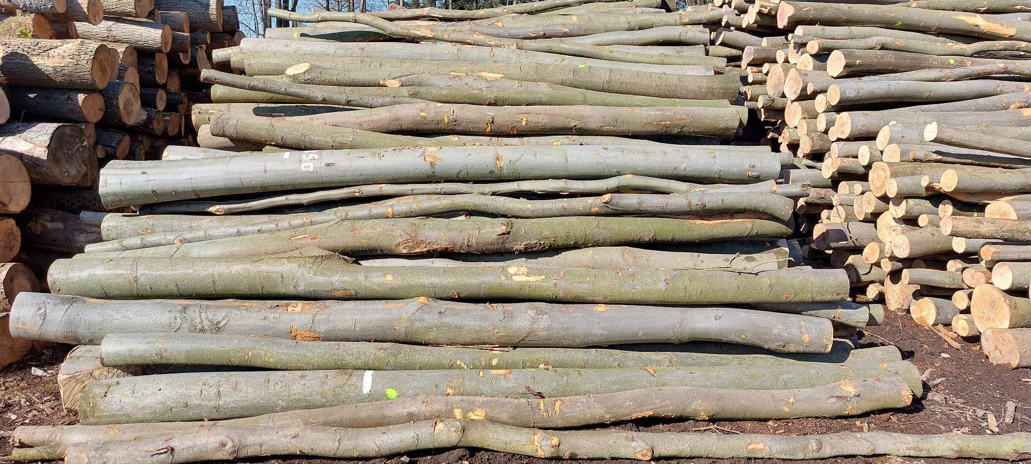 foto1 Štípané palivové dřevo Boskovice, Blansko